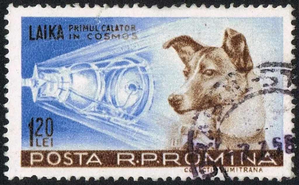 Romanian stamp from 1959 with Laika the caption reads Laika first traveller into cosmos